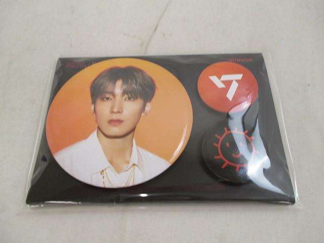 SEVENTEEN ウォヌ BE THE SUN 缶バッジ セット