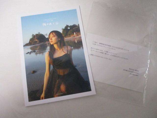 乃木坂46 梅澤美波 1st写真集 アザーカット写真集 梅の近く 当選品